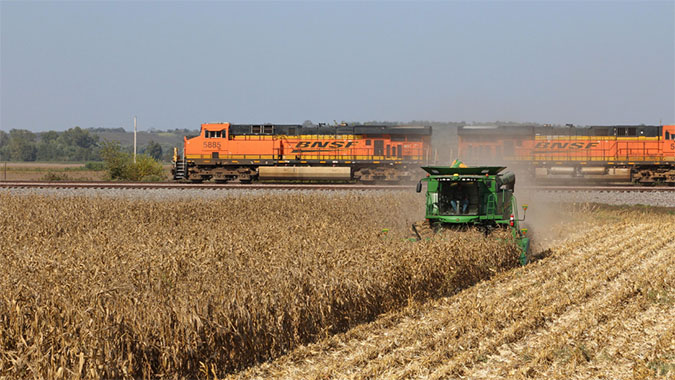 A BNSF train passes a crop being harvested.  A BNSF train passes a crop being harvested.