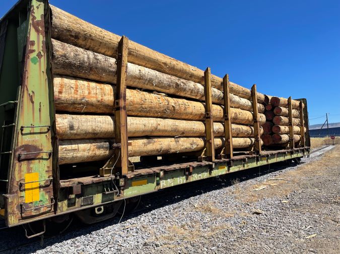 Raw timber awaiting shipment.  Raw timber awaiting shipment.
