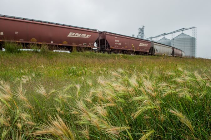 A BNSF grain shuttle approaching an elevator. A BNSF grain shuttle approaching an elevator.