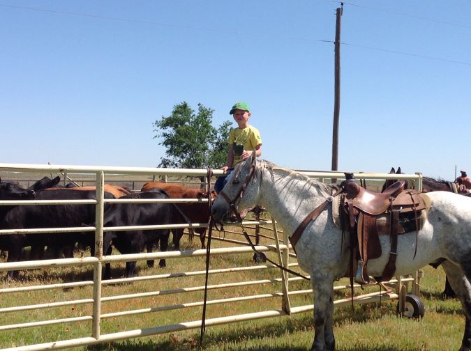 Lambley’s son, Burke, helping on the farm  Lambley’s son, Burke, helping on the farm