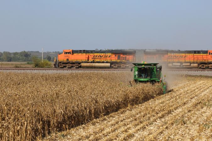 A BNSF train passes a farmer harvesting corn  A BNSF train passes a farmer harvesting corn