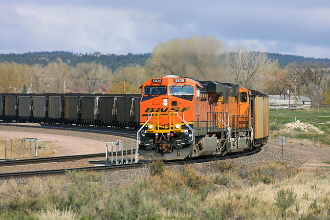 A BNSF train rolls by maintained vegetation.  A BNSF train rolls by maintained vegetation.