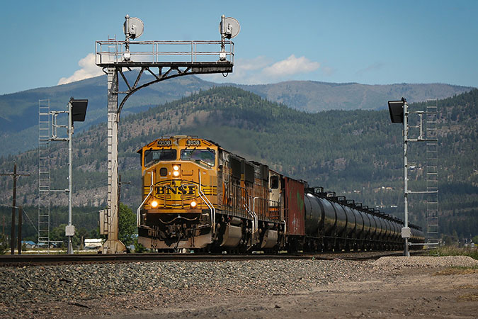 An example of a Xander photo  An example of a Xander photo